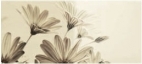 DECOR INCANTO FIORI 20X45,2 – 8,9 mm