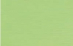 FAIANTA FRESH MENTA 25X38 – 8,5 mm