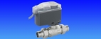 VANA 2 CAI CU SFERA MOTORIZATA D3/4