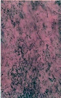 FAIANTA KAPRI ZBK 630 MARO 25X40