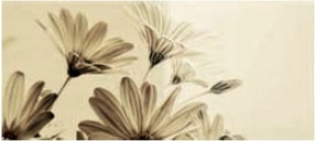 DECOR INCANTO FIORI 20X45,2 – 8,9 mm