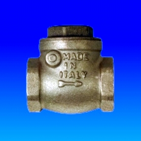 SUPAPA RETINERE CU CLAPA 1''FF