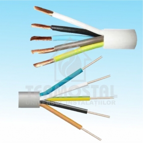 CABLU ELECTRIC ALUM. A 5X10 CU IZOLATIE PVC SI INVELIT.