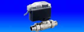 VANA 2 CAI CU SFERA MOTORIZATA D3/4