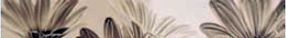 FRIZ INCANTO FIORI 1/2/3  5,8X45,2 – 8,9 mm